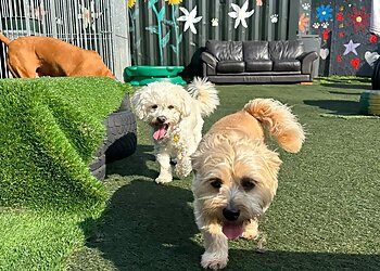 Paws and Claws Petcare