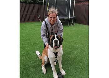 Pawsitive Connections