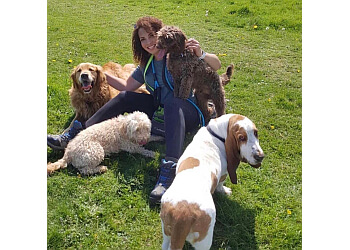 Pawsitively Happy Dogs