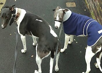 Paws 'n' Claws Animal Care