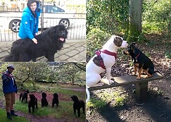 Paws 'n' Claws Animal Care