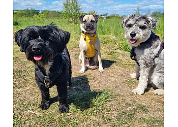 Pawsome Walkies Edinburgh