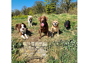 Pawsome Walkies Edinburgh