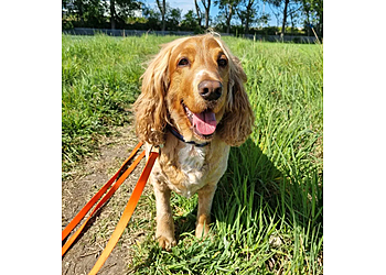 Pawsome Walkies Edinburgh