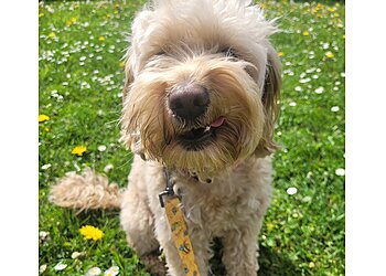 Pawsome adventures with Jodie