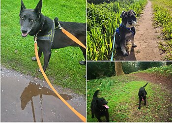 Pawsome adventures with Jodie