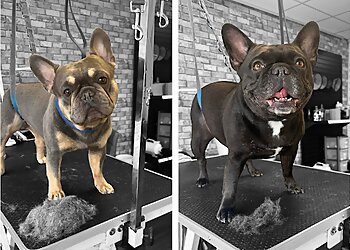 Pawstruly Grooming Studio