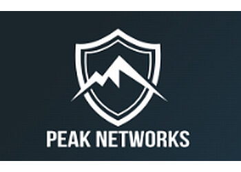 Peak Network Solutions LTD