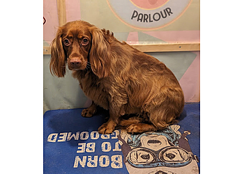 Peculiar Pooches Parlour