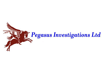Pegasus Investigations Ltd
