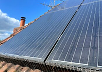 Pegasus Pest Solutions