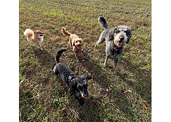 Peninsula Paws Peninsula Paws