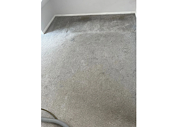 Perfect Carpet Cleaning