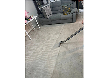 Perfect Carpet Cleaning