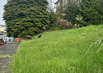 Perfect Cut Garden & Grounds