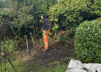 Perfect Cut Garden & Grounds