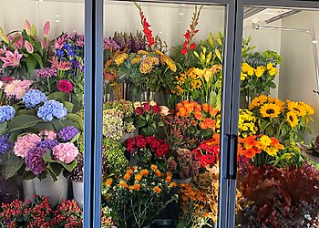 Perfect Moment Florist