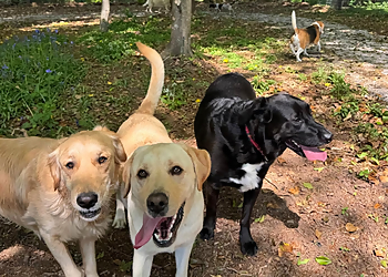 Perfect Pet Services