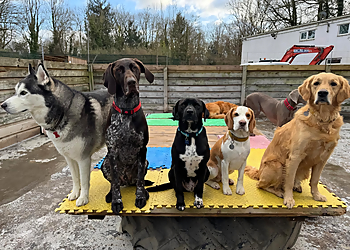 Perfect Pet Services