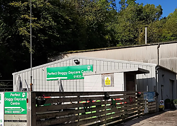 Newport dog daycare centre Perfect Pet Services image 1