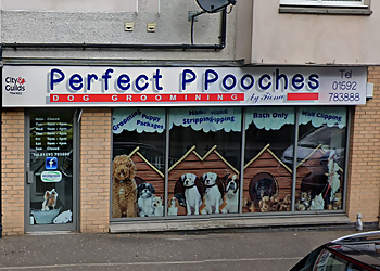 Perfect Pooches By Fiona 