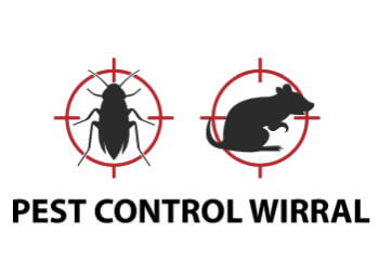 Pest Control Services Wirral