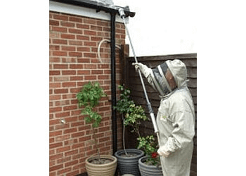 Pest Control Wokingham