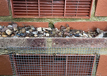 PestFreeMike Pest Control