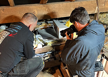 Pest Interceptors Ltd