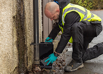 Pest Solutions Edinburgh