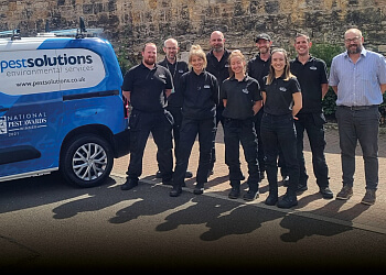 Edinburgh pest control Pest Solutions Edinburgh image 1