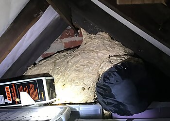 Pest Solutions Oxfordshire Ltd