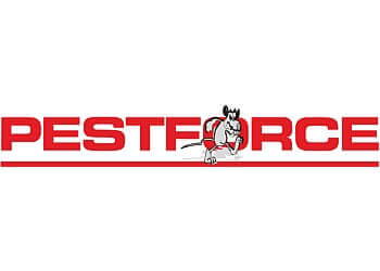 3 Best Pest Control in Oldham, UK - Expert Recommendations