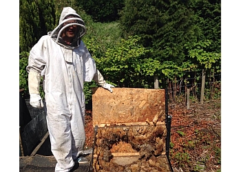 Pestforce (UK) Ltd Swansea