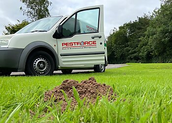 Bridgend pest control Pestforce Pest Control Bridgend image 1