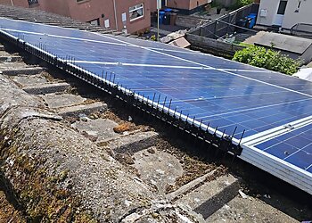 Pestforce Pest Control Dundee