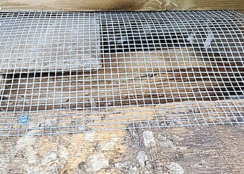 Pestforce Pest Control Dundee