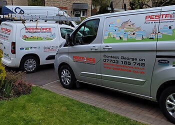 Dundee pest control Pestforce Pest Control Dundee image 1