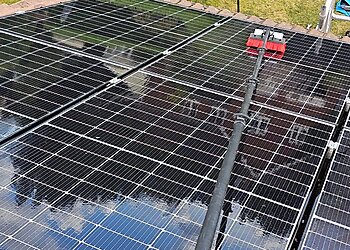 Pestfree Pest Control