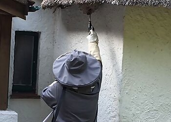 Pests Birds and Bugs Limited