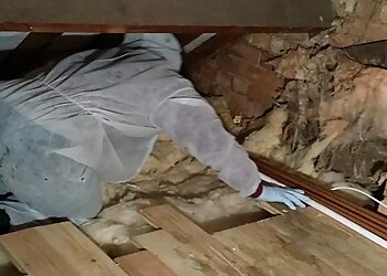 Pestway Services Ltd