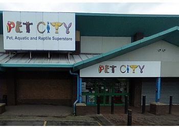 pet city pet shops