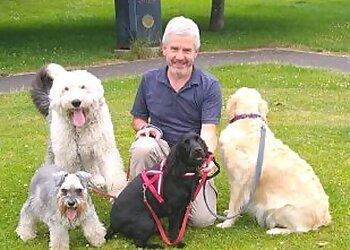 Lisburn dog walkers Pet-Serve image 1