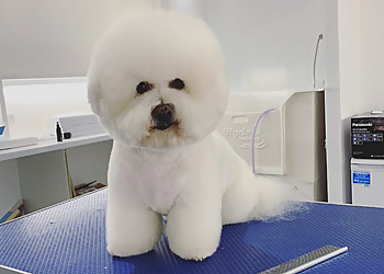 Pet Spa Essex Pet Spa Essex