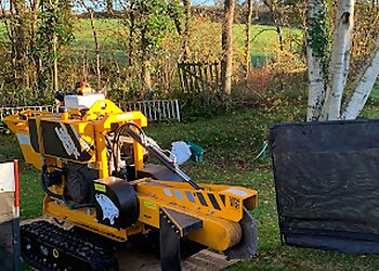 Peter Raybould Tree Surgeon