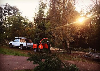 Peter Raybould Tree Surgeon