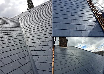 Peter Shaw Roofing Ltd.