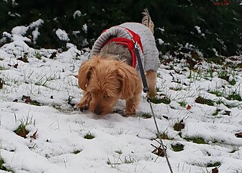 Petopia Pet Services