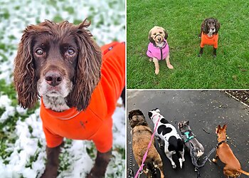 Petopia Pet Services