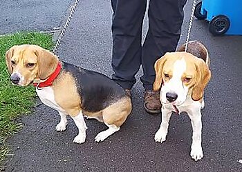 Pets And Wildlife Service (PAWS)